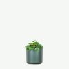 plants ecommerce product featured img 12