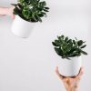 plants shop product gallery img 15